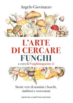 L'arte di cercare funghi